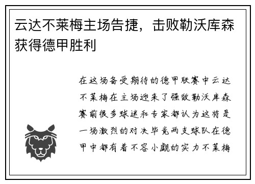 云达不莱梅主场告捷，击败勒沃库森获得德甲胜利